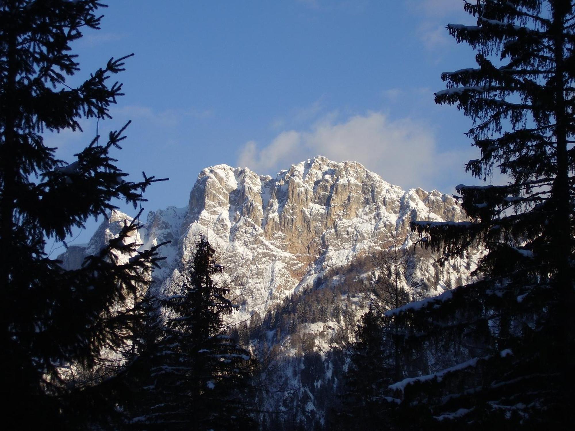 Residence Regina Delle Dolomiti Rocca Pietore Bagian luar foto